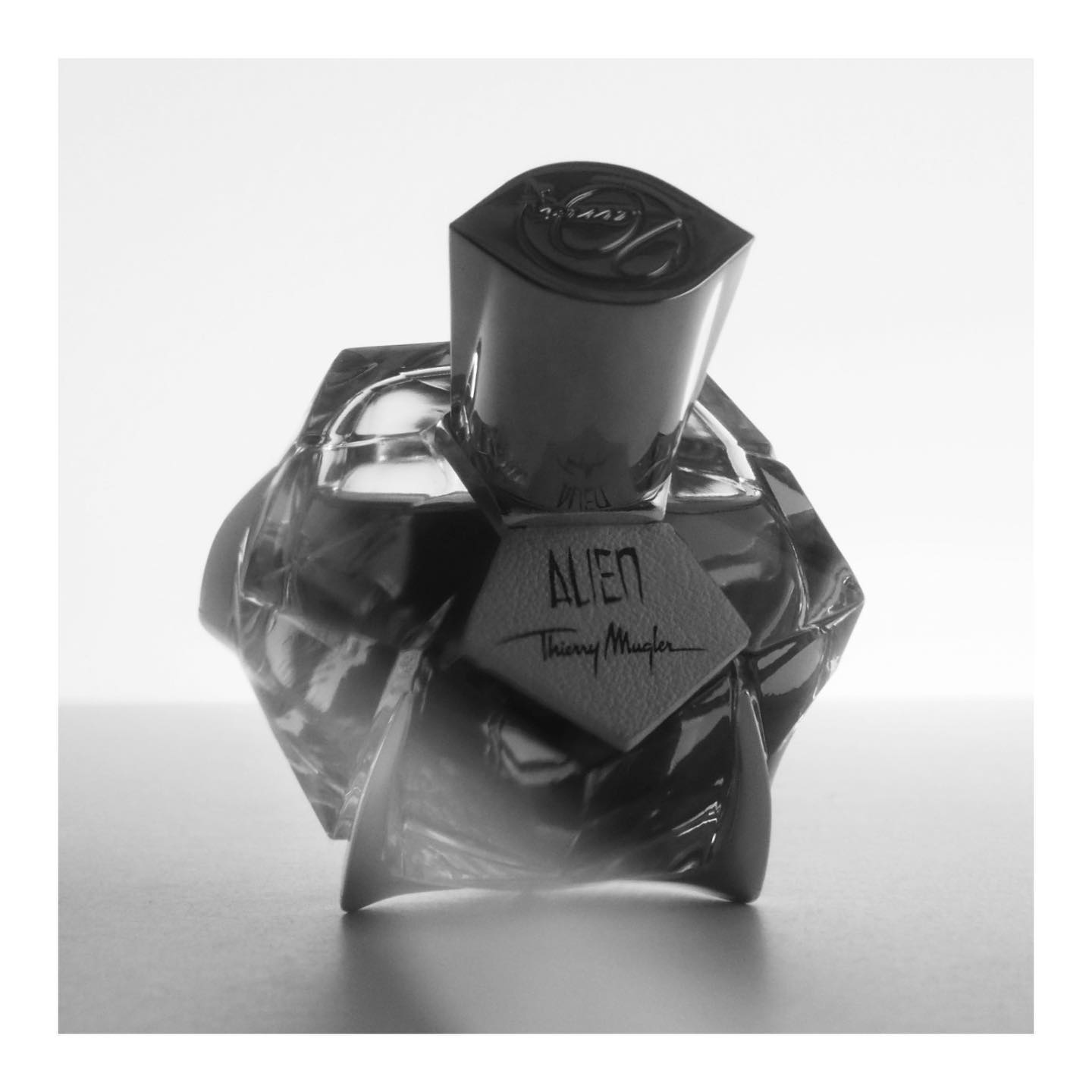 Spoke about it not too long ago, but here we are again...
 
Multiple falls favorite form my collection. I made sure I will never run out of it and can cover myself head to toes with this gorgeous orange blossom leather.
 
If ever recreated in current decade, it would be close to the top of the niche frag chain👌🏻
 
@muglerofficial #nicheperfumes #nicheperfumery #nicheperfume #nichefragrance #nichefragrances #nichescent #nicheparfum #instaperfume #luxuryperfume #fragrancecollection #instafragrance #perfumelove #perfumelover #harrodsbeauty #profumidinicchia #nischendüfte #thierrymugler #fallfragrance #perfumeblogger #fragranze #teamoversprayers #fragrancearmy #growdeparfum #collectionpotential #fragpixie #perfumereview #mugler #alien #muglercuir #aliencuir